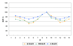 図 3.9 (f)　日負荷曲線 (年負荷レベル)